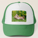 Buscar gatito divertido gorras Gato