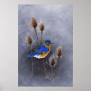Buscar acuarelas originales posters General y unisex