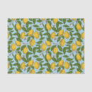 Buscar leones papel de seda Desacoplar