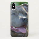 Buscar pitbull iphone fundas Animal
