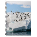 Buscar antártico cuadernos Animal