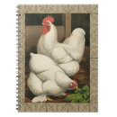Buscar gallina libretas Gallo