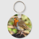 Buscar petirrojos llaveros Redbreast