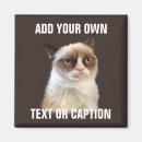 Buscar gato imanes Humor