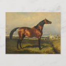 Buscar alfred postales Campo