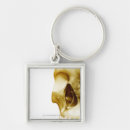 Buscar partes del cuerpo humano llaveros Frente