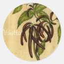 Buscar hierbas y especias pegatinas Vintage