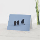 Buscar icelandic tarjetas Nieve