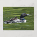 Buscar responsabilidad postales Cuidado