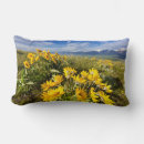 Buscar cordillera cojines Montana