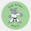 Buscar kung fu pegatinas Defensa propia