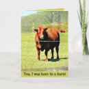 Buscar granjas lecheras tarjetas Animales de granja