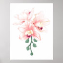 Buscar de las orquideas rojas posters Orquídeas