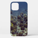 Buscar barrera iphone fundas Mar