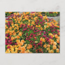 Buscar cama de flores postales Naturaleza