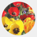 Buscar tulipanes amarillos pegatinas General y unisex