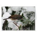 Buscar pájaro cantante postales Verde