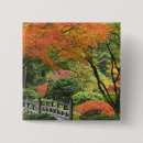 Buscar árbol de arce chapas Otoño