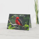 Buscar ojo tarjetas Para ella