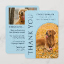 Buscar caninas tarjetas Cachorro