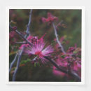 Buscar macro servilletas Naturaleza