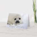 Buscar foca tarjetas Sello