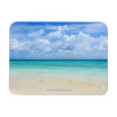 Buscar tropicales imanes Azul