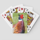 Buscar faisanes barajas de cartas Pájaro