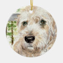 Buscar wheaton Terrier