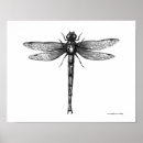 Buscar drenaje arte Fresco