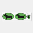 Buscar llano pegatinas parachoque Perrito