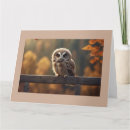 Buscar para alguien especial tarjetas Agradecido