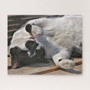 Buscar gatos negros puzzles Lindo gato