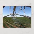 Buscar tierras de labrantío Cultivo