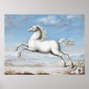 Buscar caballo blanco posters General y unisex