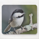 Buscar birder alfombrillas de raton Vigilante de pájaro