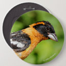Buscar arbustos chapas Hojas