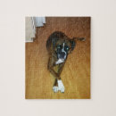 Buscar boxeador puzzles Animales