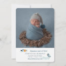 Buscar bluebird tarjetas e invitaciones Para todos
