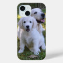 Buscar mom iphone fundas Perro