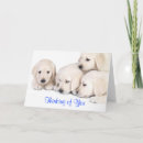 Buscar recue el perro tarjetas Pensar en ti