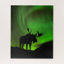 Buscar aurora boreal puzzles Superstock