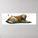 Buscar mutt posters Labrador