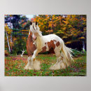 Buscar caballo gitano posters Animales