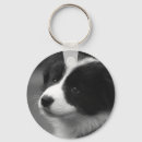 Buscar border collie llaveros Frontera