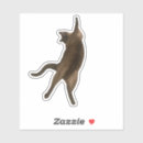 Buscar posturas pegatinas 7 º postura