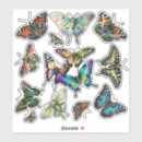 Buscar mariposa de monarca pegatinas Mariposas