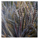 Buscar macro azulejos Planta