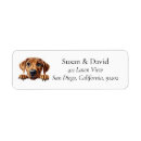 Buscar ridgeback rhodesian Acercamiento al rodeo