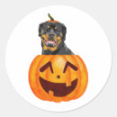 Buscar perro de rottweiler pegatinas Divertido